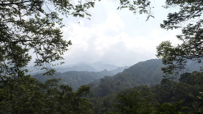 SK MenLHK yang ditetapkan pada 5 April lalu membuat wilayah kelola hutan Perum Perhutani di Pulau Jawa berkurang drastis.