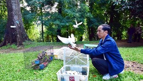 Presiden Jokowi Mau Temui CEO Twitter