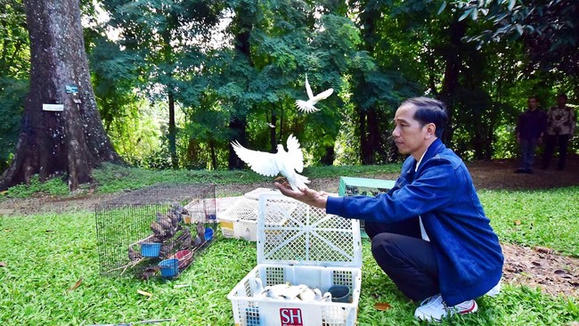 Presiden Joko Widodo dijadwalkan akan bertemu dengan CEO Twitter untuk membahas peran media sosial dalam memerangi terorisme.