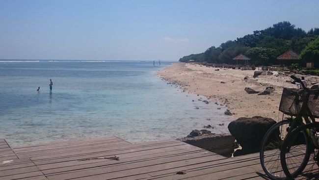 Kawasan wisata Bukit Pandanan terbakar pada Minggu (18/8), penyebabnya masih dalam penyelidikan.