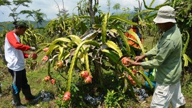 Bandung Timur Bakal Disulap jadi Kawasan Agrowisata