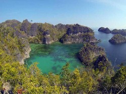 Raja Ampat Besok Buka, Penggemar Diving Bisa Nyebur Lagi