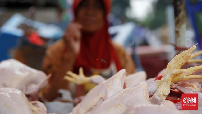 Paket ekonomi pemerintah tersebut dinilai membidik momentum pertumbuhan dan pada saat yang sama mengelola tekanan inflasi melalui perbaikan logistik.