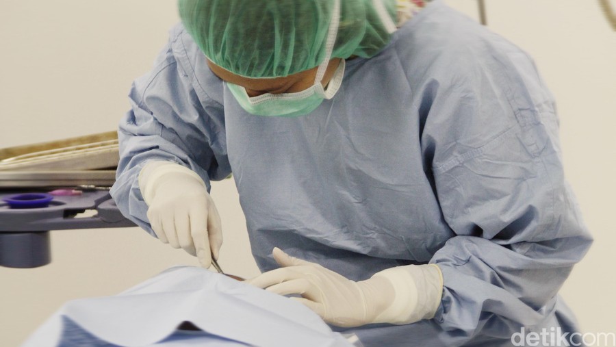 Dokter Bedah Dokter bedah diruang operasi.

dikhy sasra/ilustrasi/detikfoto