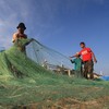 Studi: Tinggal di Dekat Laut Ternyata Bisa Membuat Panjang Umur