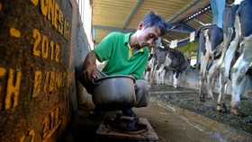 Tarik Investasi, Pengusaha Ingin Harga Listrik Biogas Naik