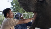 Menyambangi Rumah Sakit Gajah Pertama di Asia Indonesia menjadi lokasi Rumah Sakit Gajah pertama di Asia. Tepatnya di kawasan hutan Taman Nasional Way Kambas (TNWK), Lampung Timur.