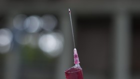 Mengenal Kebiri Kimia, Menghilangkan Fungsi Testis dan Libido