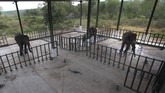 Menyambangi Rumah Sakit Gajah Pertama di Asia Indonesia menjadi lokasi Rumah Sakit Gajah pertama di Asia. Tepatnya di kawasan hutan Taman Nasional Way Kambas (TNWK), Lampung Timur.