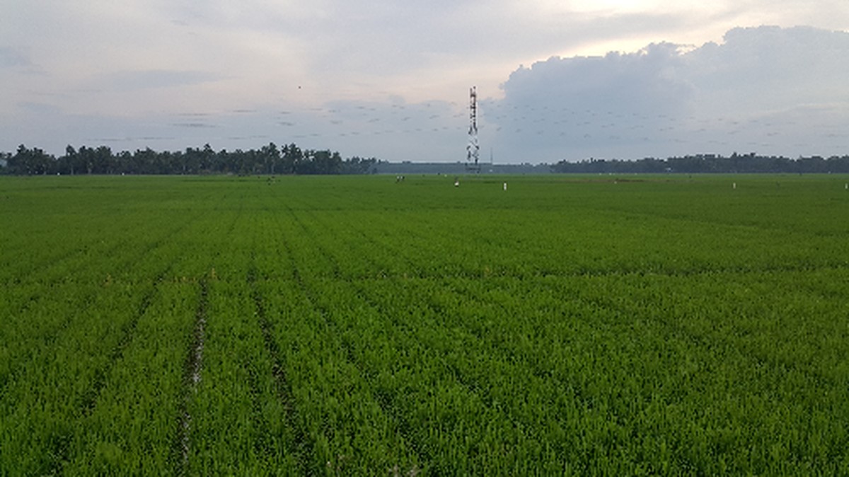 Liburan Low Budget