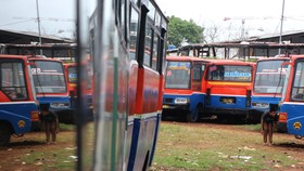 'Rayuan' Transjakarta, Simalakama Integrasi Metromini