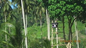 Militer Filipina Tewaskan 42 Militan Terkait ISIS