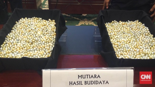 Ekspor mutiara ilegal yang dibongkar oleh Dirjen Bea dan Cukai di Pelabuhan Tanjung Priok itu siap dikirim dengan menggunakan lima peti kayu.