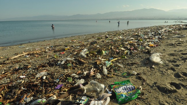 Sebab sampah di laut, khususnya plastik, telah mengancam keberlangsungan hidup ekosistem di sana. Solusinya, cinta.
