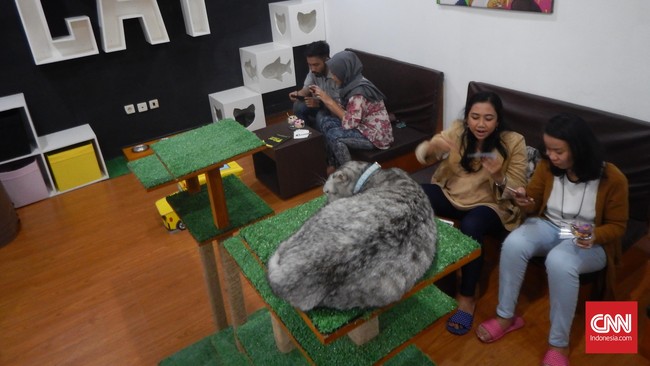 Pemkot Bandung akan melakukan rapid test antigen secara acak di lokasi yang berpotensi terjadi kerumunan, seperti kafe dan tempat hiburan.