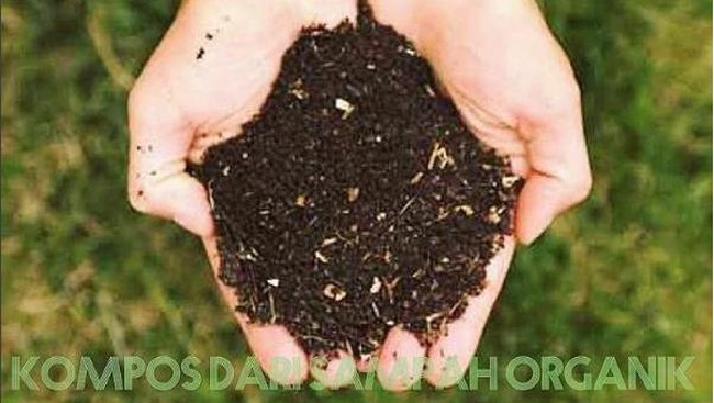 Astra Agro Lestari menciptakan pupuk organik bernama Astemik demi mengurangi penggunan pupuk kimia di lahan mereka. Pupuk akan dipakai di 50 ribu hektare lahan.