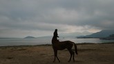'Ini Negriku,' Potret Indonesia yang Tak Biasa Indonesia di mata sembilan pewarta foto bukan lagi kawasan mainstream incaran para turis, melainkan kawasan indah tak terjamah.