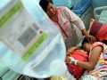 Dampak DBD di Indonesia: 16 Ribu Terjangkit, 169 Meninggal