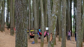 Perluasan Lahan Tak Jamin Genjot Produktivitas Hutan Rakyat
