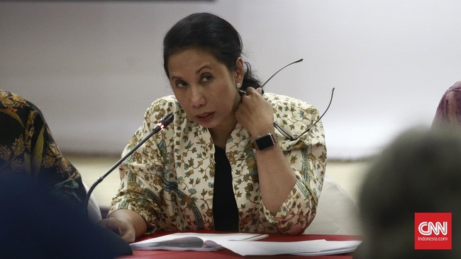 Rencana pemerintah membentuk sejumlah holding BUMN juga belum mendapat dukungan penuh dari politisi DPR di Komisi VI.
