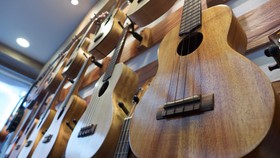 10 Contoh Alat Musik Harmonis, Tradisional dan Modern