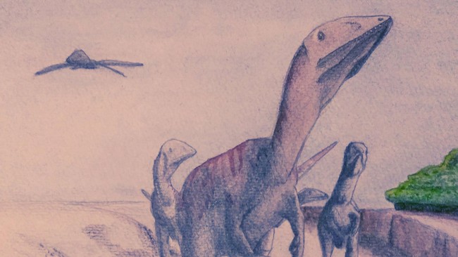 Sekelompok arkeolog menemukan fosil dinosaurus berkaki dua yang hidup 200 juta tahun lalu, Dracoraptor namanya.