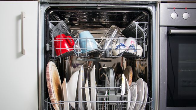Seorang wanita Italia mempergunakan mesin pencuci piring untuk memasak dengan memanfaatkan sistem air panas yang digunakan untuk mencuci piring.