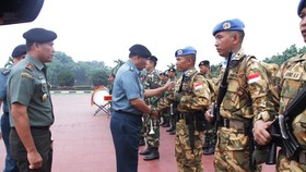 Luhut Akan Kirim Satu Kompi Pasukan Zeni TNI ke Fiji