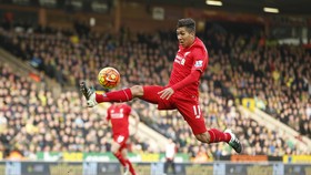Penundaan Sidang Buka Peluang Firmino Ikut Lawan Chelsea