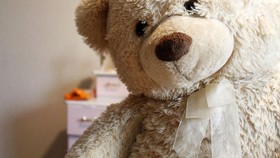 Cerita Haru Boneka Beruang Tertinggal di Pesawat Menunggu Pemiliknya