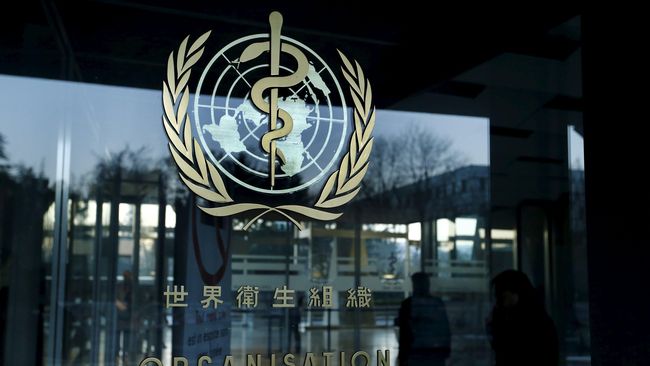 Organisasi Kesehatan Dunia bakal membentuk panel untuk mempelajari studi rekayasa genetika bayi kontroversial di China.