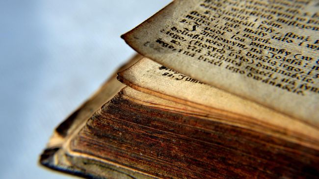 Lost Art Foundation disponsori pemerintah Jerman, memulai penelitian untuk menemukan buku-buku milik Yahudi yang dirampas Nazi, dan mengembalikannya.