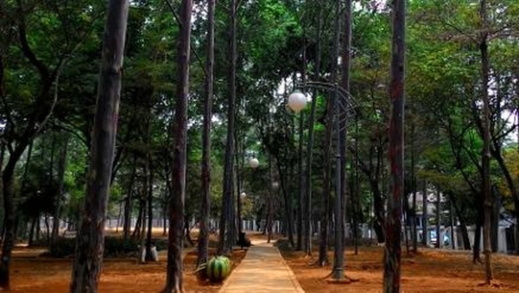 5 Taman di Jakarta Tempat Piknik Seru Bareng Keluarga