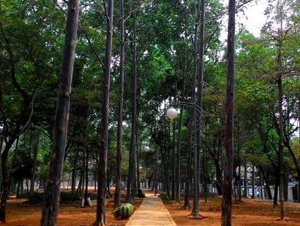 5 Taman di Jakarta Tempat Piknik Seru Bareng Keluarga