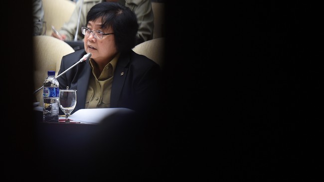 Dalam rapat dengan Komisi VII DPR, Menteri LHK menyatakan dari 48 sanksi yang diberikan kepada Freeport sebanyak 35 sudah dilaksanakan dan sisanya belum.