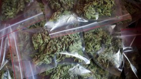 ISIS dan Mafia Italia Kerja Sama Menyelundupkan Ganja