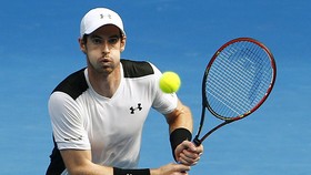 Murray Ingin Hapus Catatan Buruk di Hadapan Djokovic