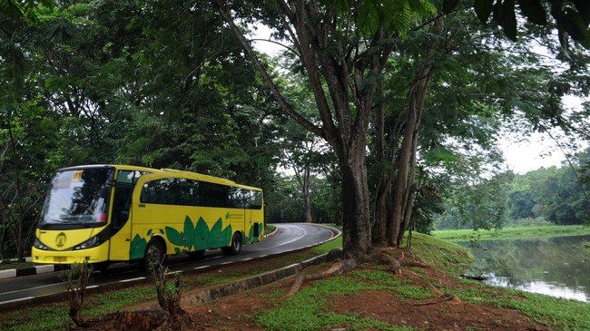 Kecelakaan nan melibatkan mobil Honda HRV dengan bus kuning (bikun) terjadi di lingkungan kampus Universitas Indonesia (UI), Depok, Jawa Barat.