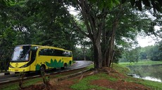 Mobil HRV Tabrak Bus Kuning di Kampus UI: Tiga Korban Sempat Terjepit