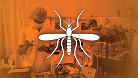 Mengenal Lebih Dalam Virus Zika