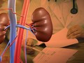 Ketahui tentang Penjualan Organ Tubuh Manusia
