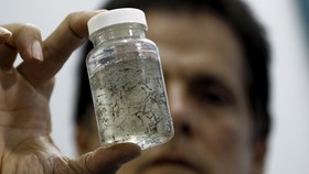 Belum Ada Travel Warning Indonesia ke Singapura Terkait Zika