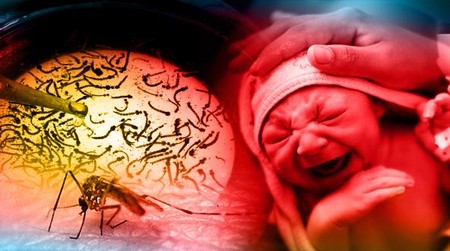 Waspada Ancaman Virus Zika