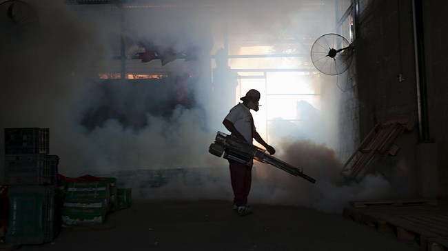 Petugas medis di tiap pelabuhan dan bandara akan memeriksa warga atau penumpang yang dicurigai terjangkit Zika. Virus ini menyebar cepat di negara tropis.