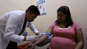 Darurat Zika, Peneliti Dalami Kaitan dengan Mikrosefalus