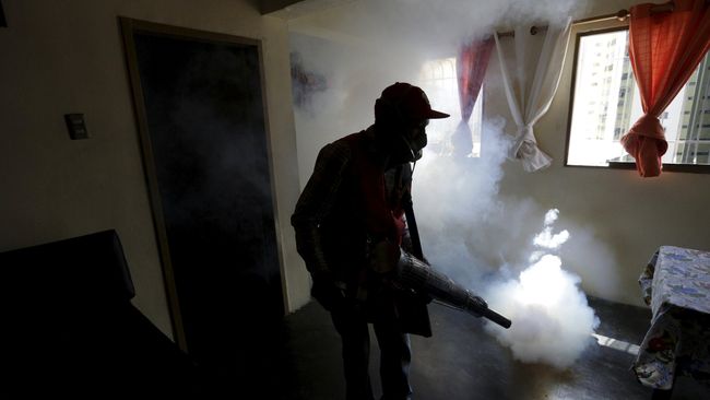 Fogging adalah salah satu langkah yang digunakan untuk membasmi nyamuk demam berdarah. Namun langkah ini tak akan efektif jika tak didukung oleh langkah lain.