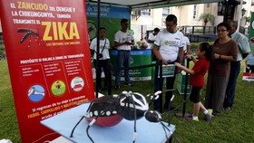 Ancaman Virus Zika Dikhawatirkan Lebih Besar Dibanding Ebola