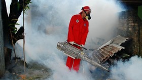 Antisipasi DBD, Pemprov DKI <i>Fogging</i> di Wilayah Korban