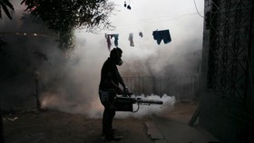 Kemenkes Belum Temukan Kasus Serius Virus Zika di Indonesia