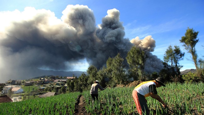Bandara Abd Saleh Malang sebelumnya ditutup sejak Minggu (10/4) hingga Senin pukul 09.00 WIB akibat terdampak aktivitas abu vulkanis Gunung Bromo.